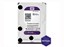 Western Digital Purple 4TB Internal Hard Drive